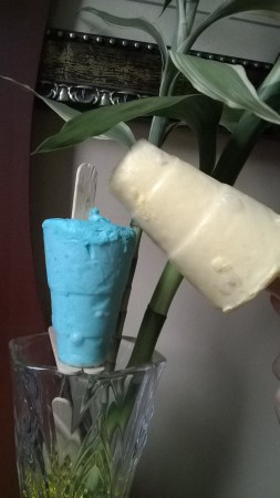 HELADOS DE UN SABOR